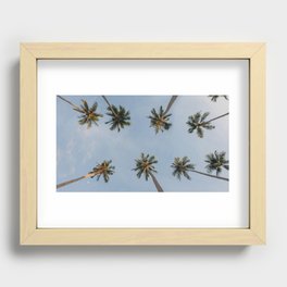 El Nido Trees Recessed Framed Print