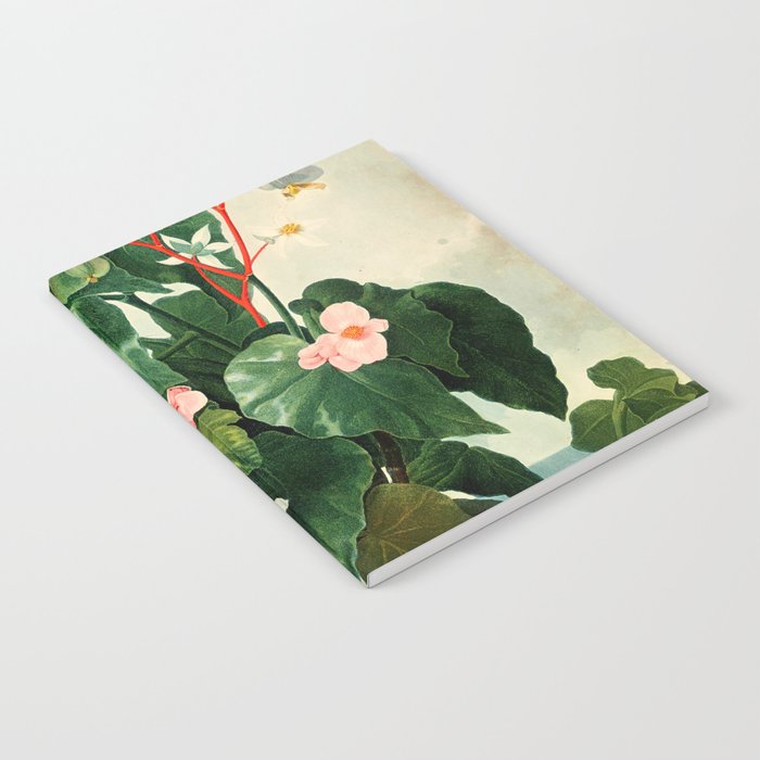 Pink Floral The Oblique-Leaved Begonias : Temple of Flora Notebook