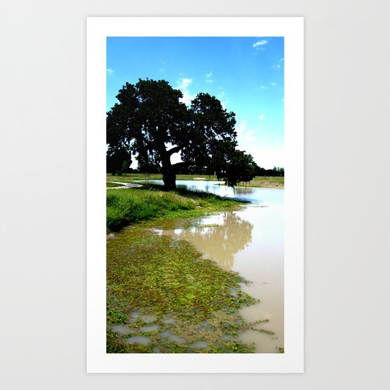 Muddy Waters Art Print