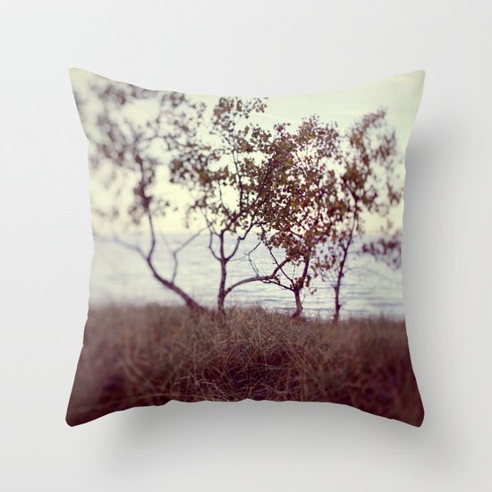 The Coast #2 Throw Pillow