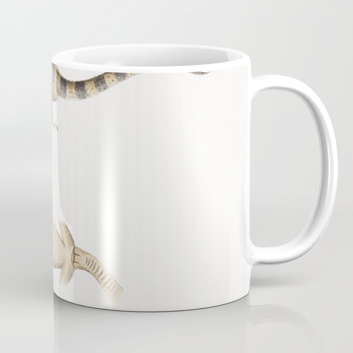 Beautiful Cyrtodactylus (Cyrtodactylus pulchellus) Coffee Mug