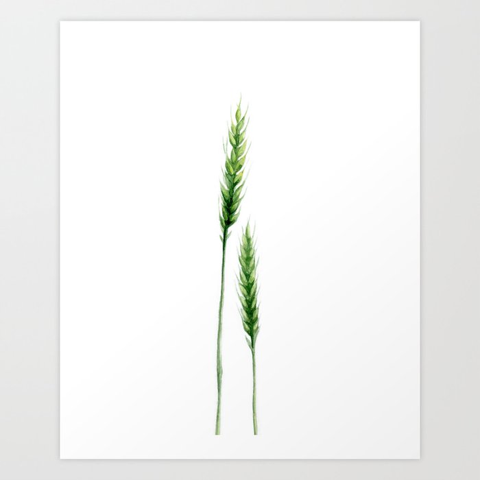 Discover the motif WHEAT. by Art by ASolo as a print at TOPPOSTER