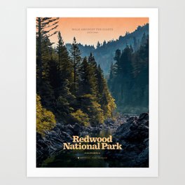 Redwood National Park Art Print
