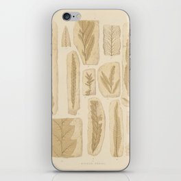 Plant Fossils iPhone Skin