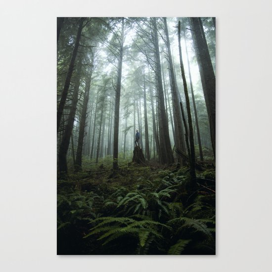 Olympic Forest Canvas Print
