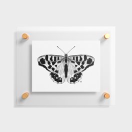 Black and White Butterfly 04 Floating Acrylic Print