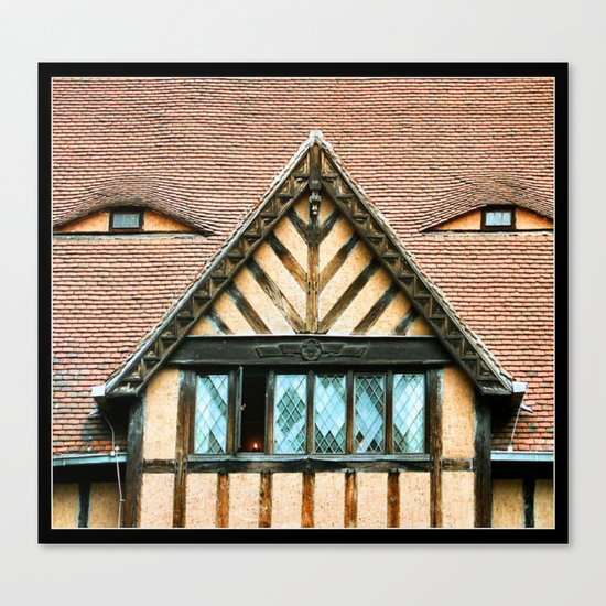 Someone is Looking at You ! Canvas Print