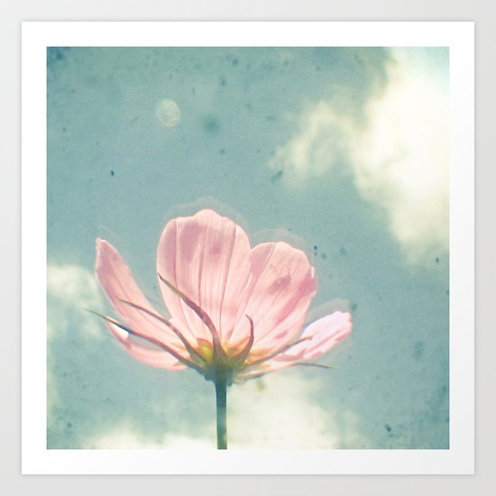 Pink Cosmos Art Print