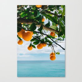 Amalfi Coast Oranges IV Canvas Print
