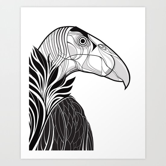 California Condor Art Print