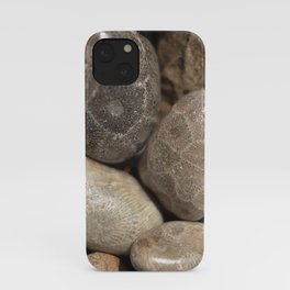 Petoskey Stones iPhone Case