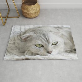 Cute Grey Cat Area & Throw Rug