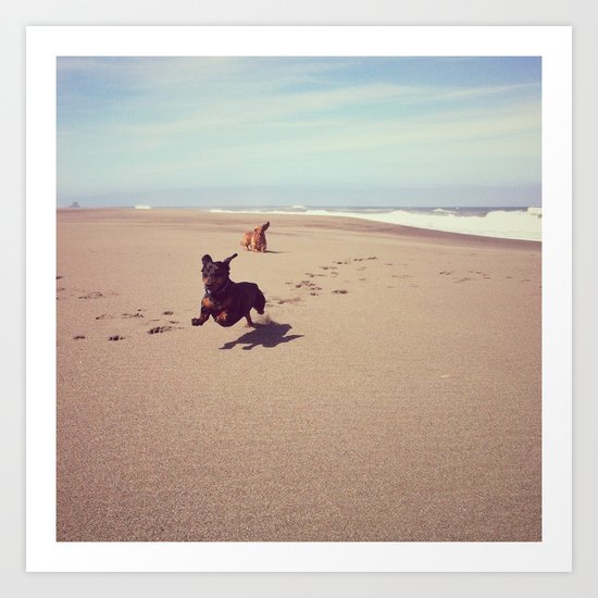 Two Dachshunds on Beach Art Print