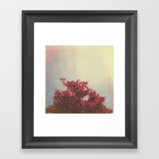 Japanese Maple Framed Art Print
