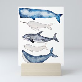 Watercolor orca whale, spermwhale, humpback, narwhal, beluga whales Mini Art Print