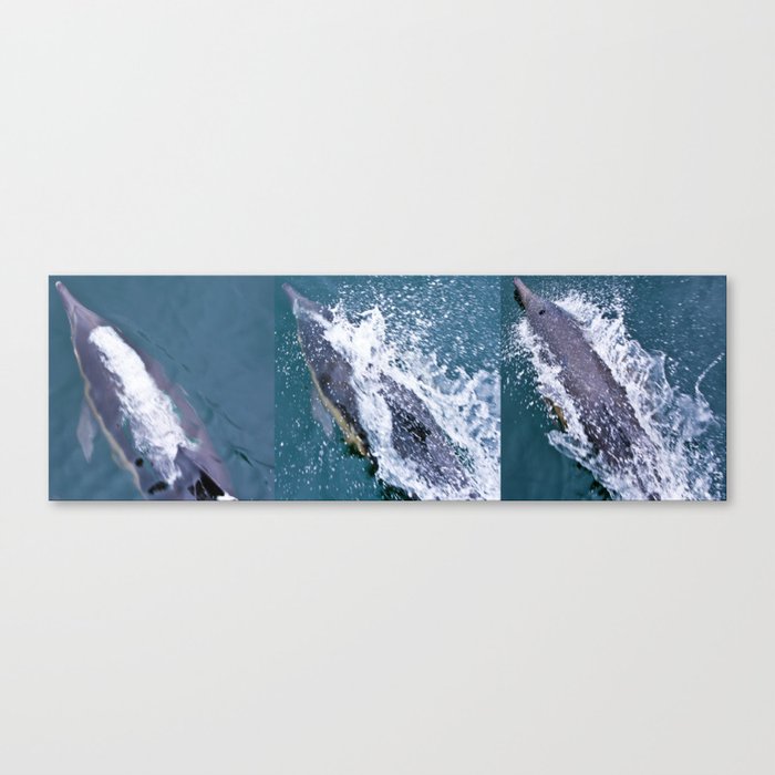 Dolphin collage Canvas Print
