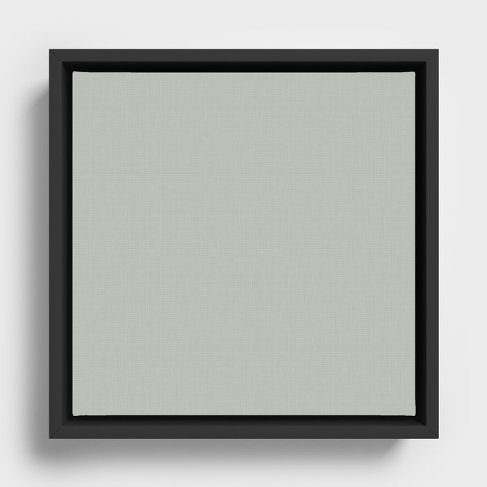 Framed Canvas