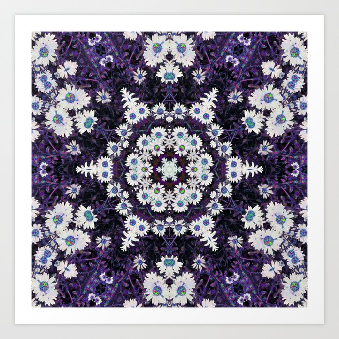 Daisy Purple Mandala Art Print