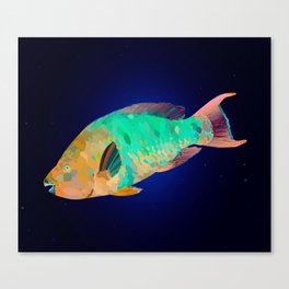 Rainbow Fish Canvas Print