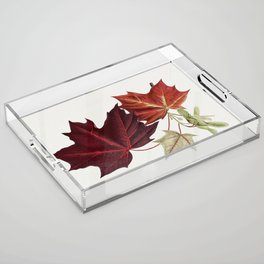 Maple Leaves Acrylic Tray