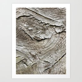 Old wood grain texture. Art Print