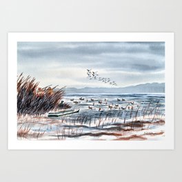 Duck Hunting For Canvasbacks Art Print