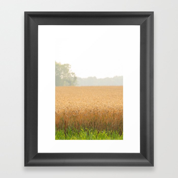 Golden Summer Wheat Framed Art Print