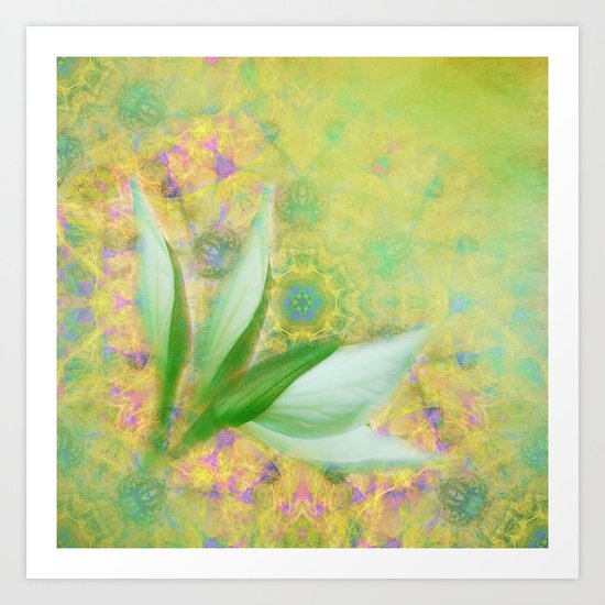 Bauhinia buds against textured green background Art Print