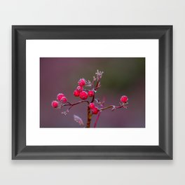 Alpine Berries Framed Art Print