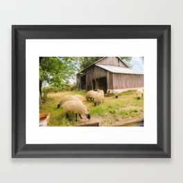 Little Sheep Framed Art Print