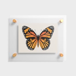 Monarch Butterfly | Vintage Butterfly | Floating Acrylic Print