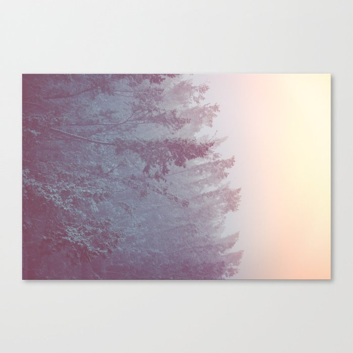 Forest Fog - Snowy Mountain Trees at Sunset Canvas Print