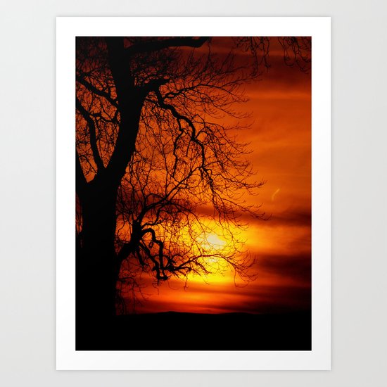Reaching For The Light Art Print