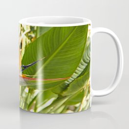 Bird Of Paradise Coffee Mug