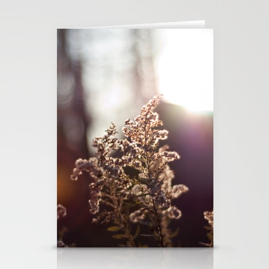 Goldenrod Light Stationery Cards