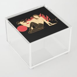 ARIES Acrylic Box