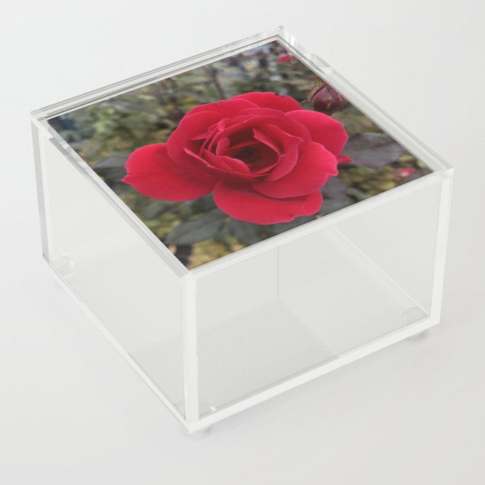 Niagara Falls Rose Acrylic Box