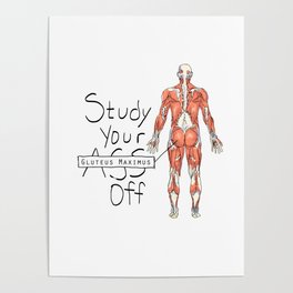 Study Your Gluteus Maximus Off Poster