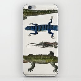 Collection of Various Reptiles iPhone Skin