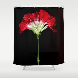 Red Carnation Shower Curtain