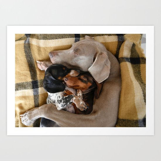 Cuddle Buddies Art Print