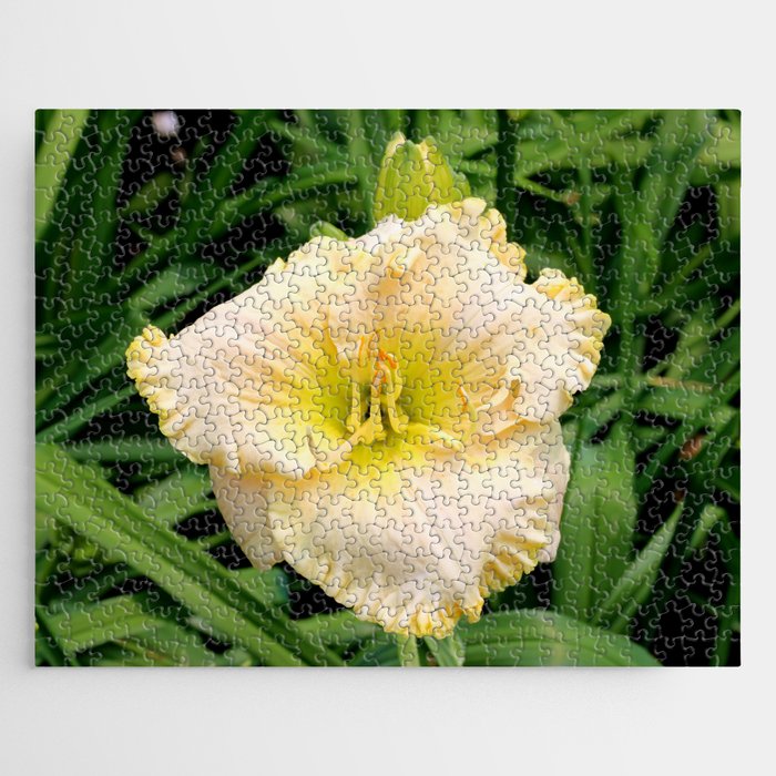 A Yellow Day Lily in Bloom Jigsaw Puzzle