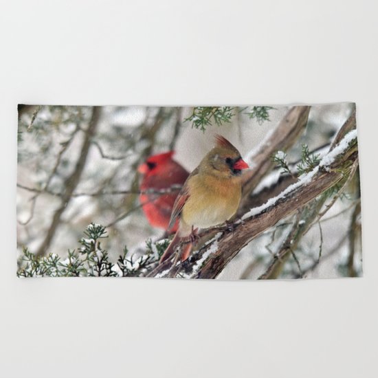 Tandem Cardinals Beach Towel