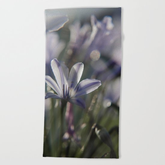 Quiet Splendor Beach Towel