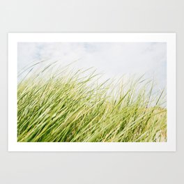 Summer Grass. Art Print