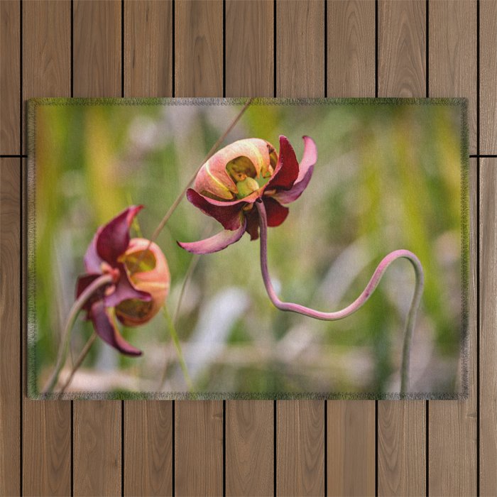 Pitcher Plant Blooms Outdoor Rug