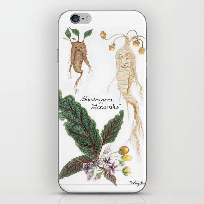 Mandrake Botanical Art iPhone Skin