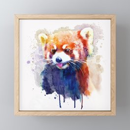 Red Panda Portrait Framed Mini Art Print