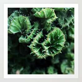 Emerald green Cactus Botanical Photography, Nature, Macro, Art Print