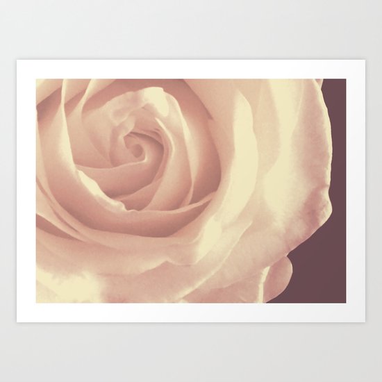 Roses are White Art Print